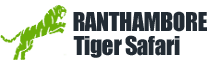 Footer Logo