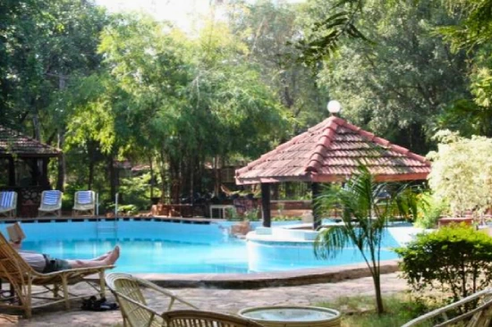 Tiger Moon Resort